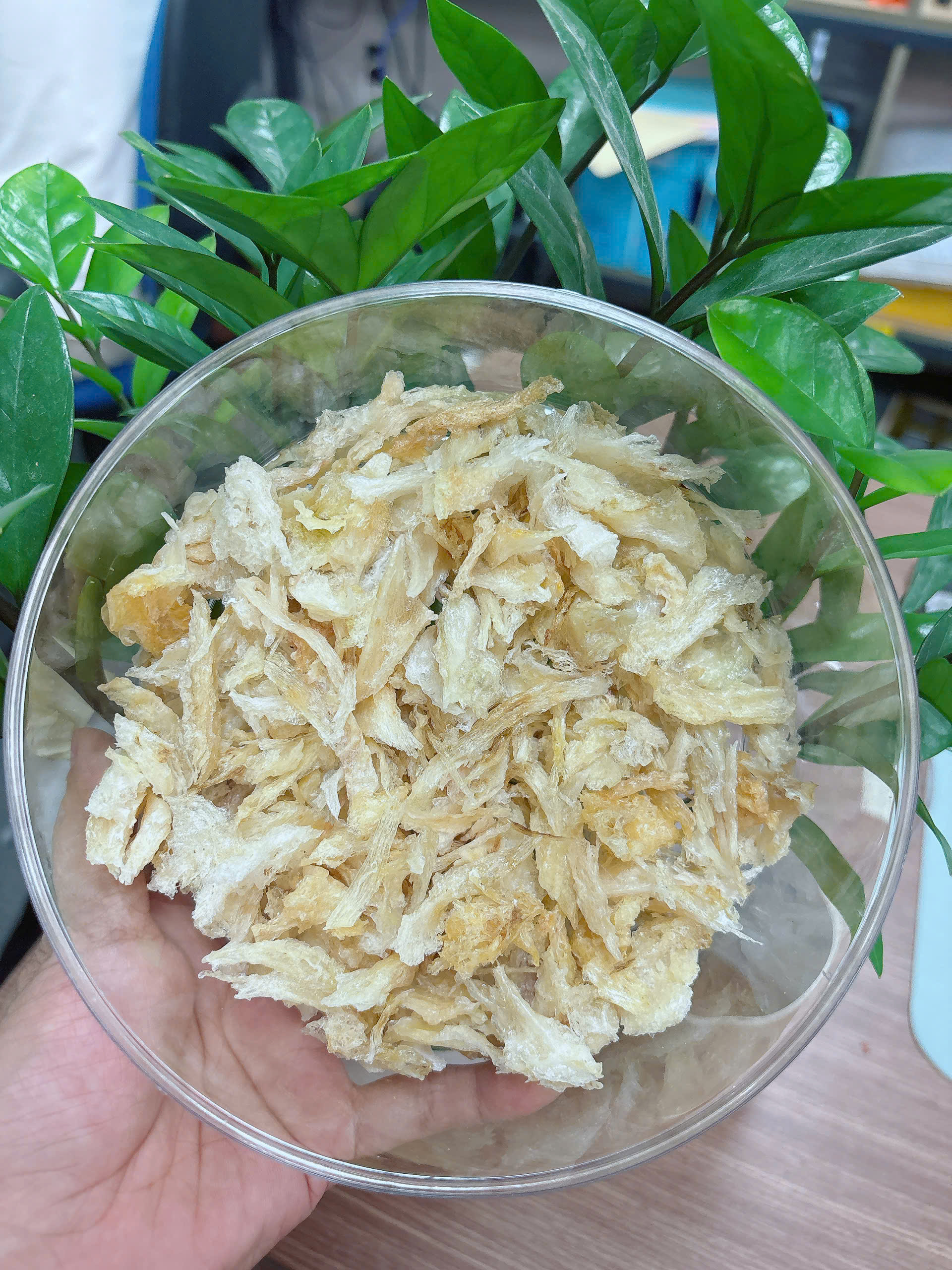 [S69] Bể đế chân sạch cân xô- Hộp 100GR