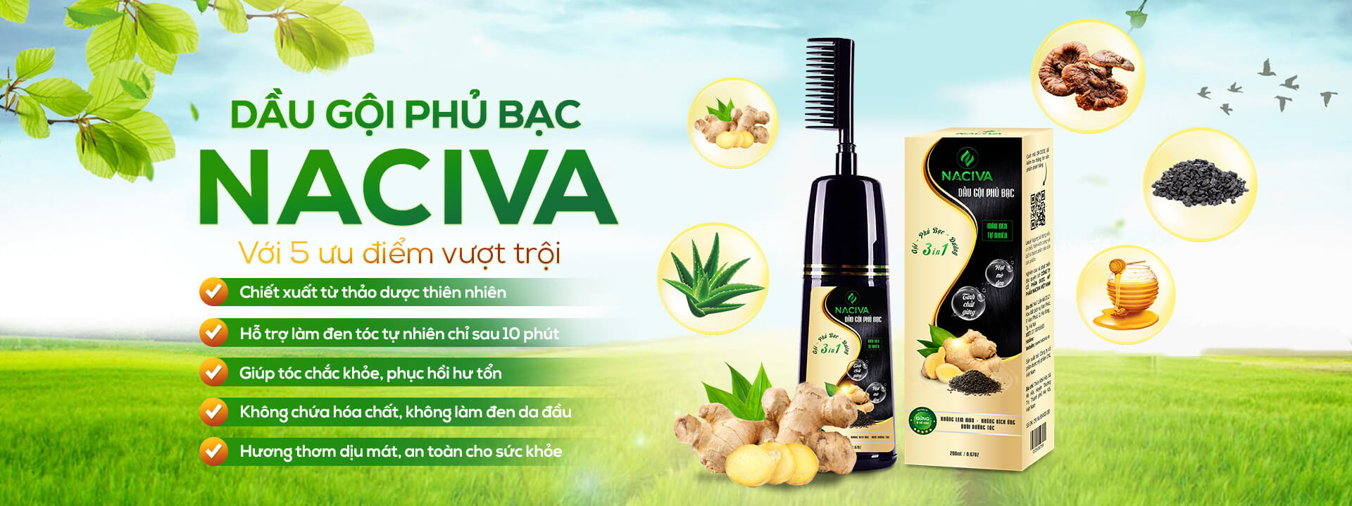 banner-naciva-270622