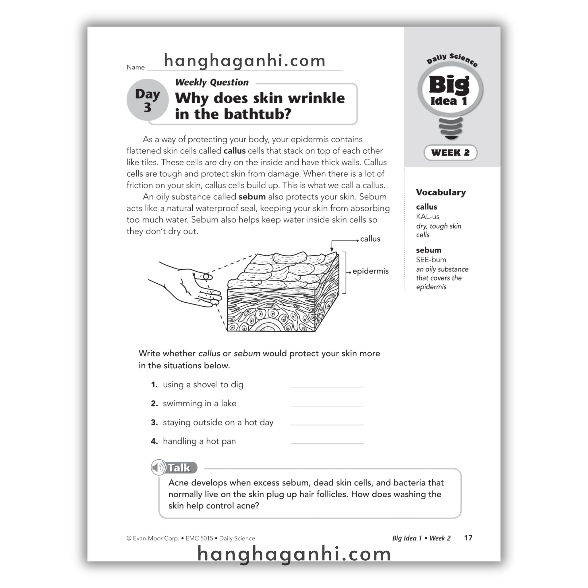 Daily Science Grade 5_thumbnail_14