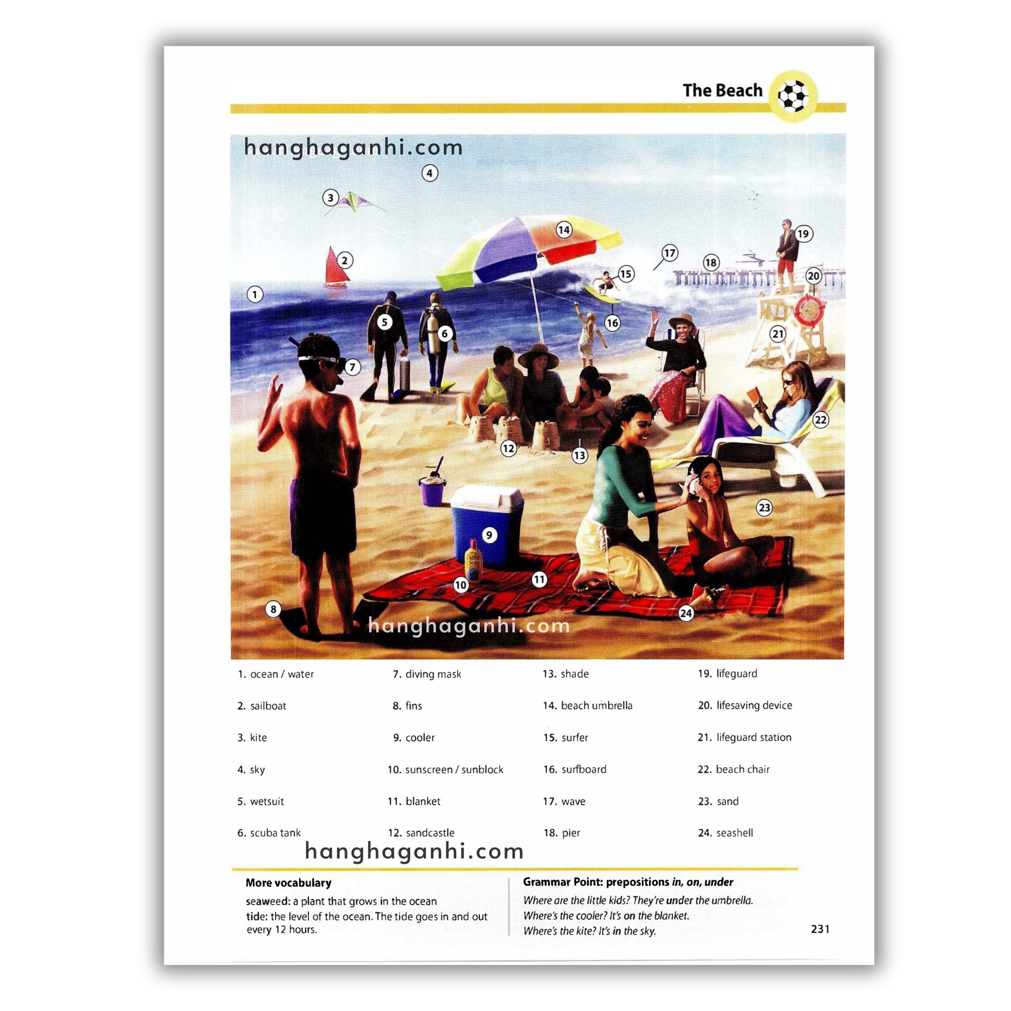 Oxford Picture Dictionary Third Edition: Từ điển Tiếng Anh_thumbnail_12