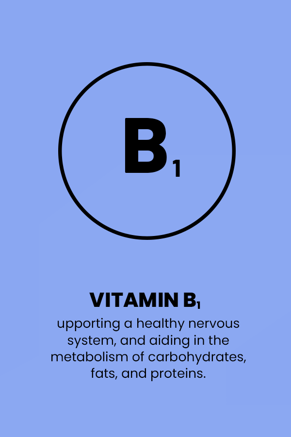 VITAMINS B1 ICON