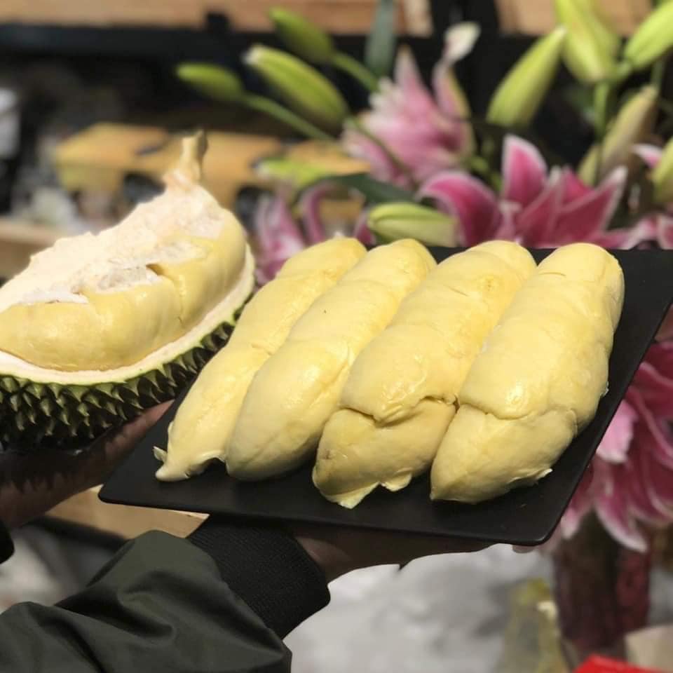 Tách Sẵn - Sầu Riêng Chuồng Bò cổ_thumbnail_6