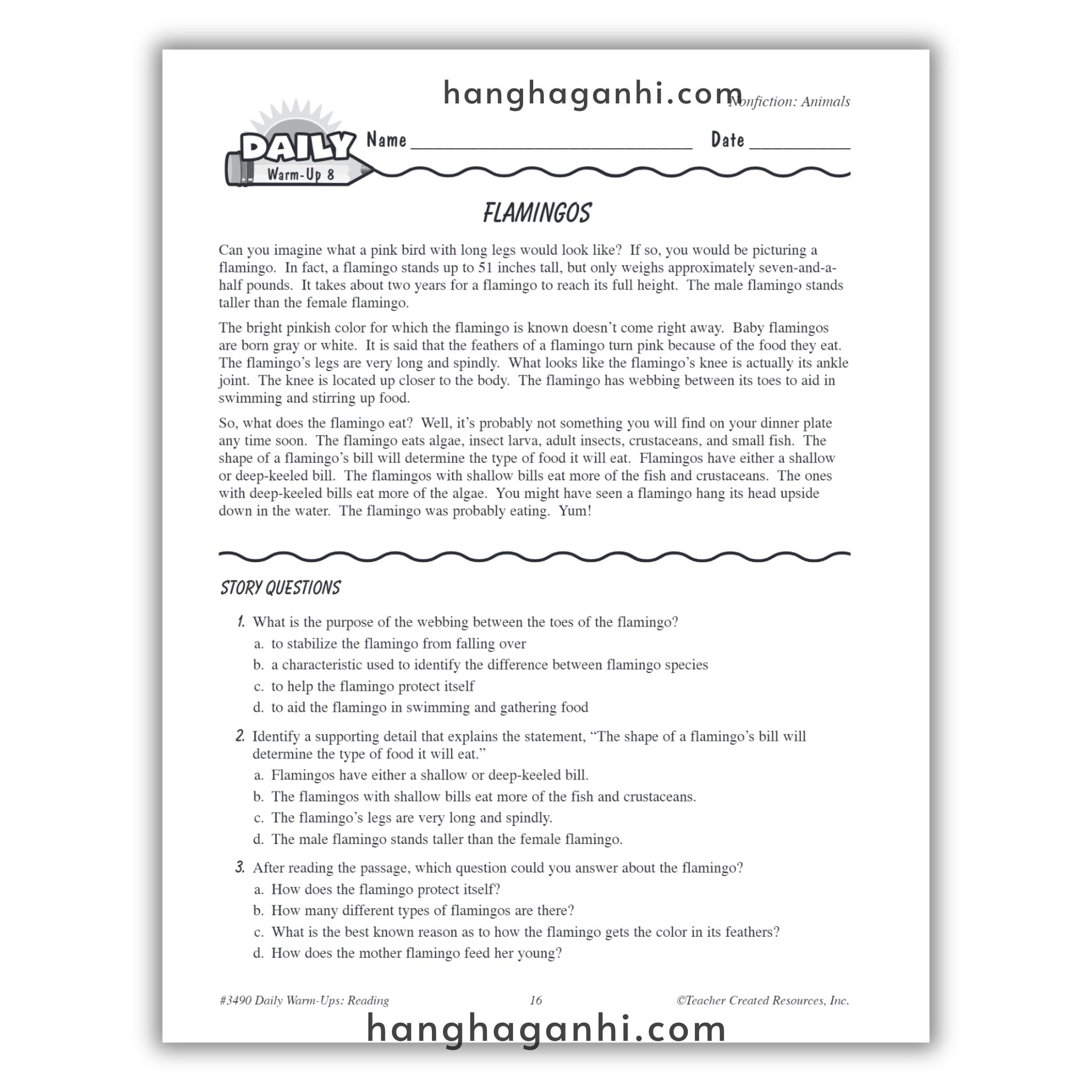 Sách Daily Warm Ups Reading Grade 4_thumbnail_4