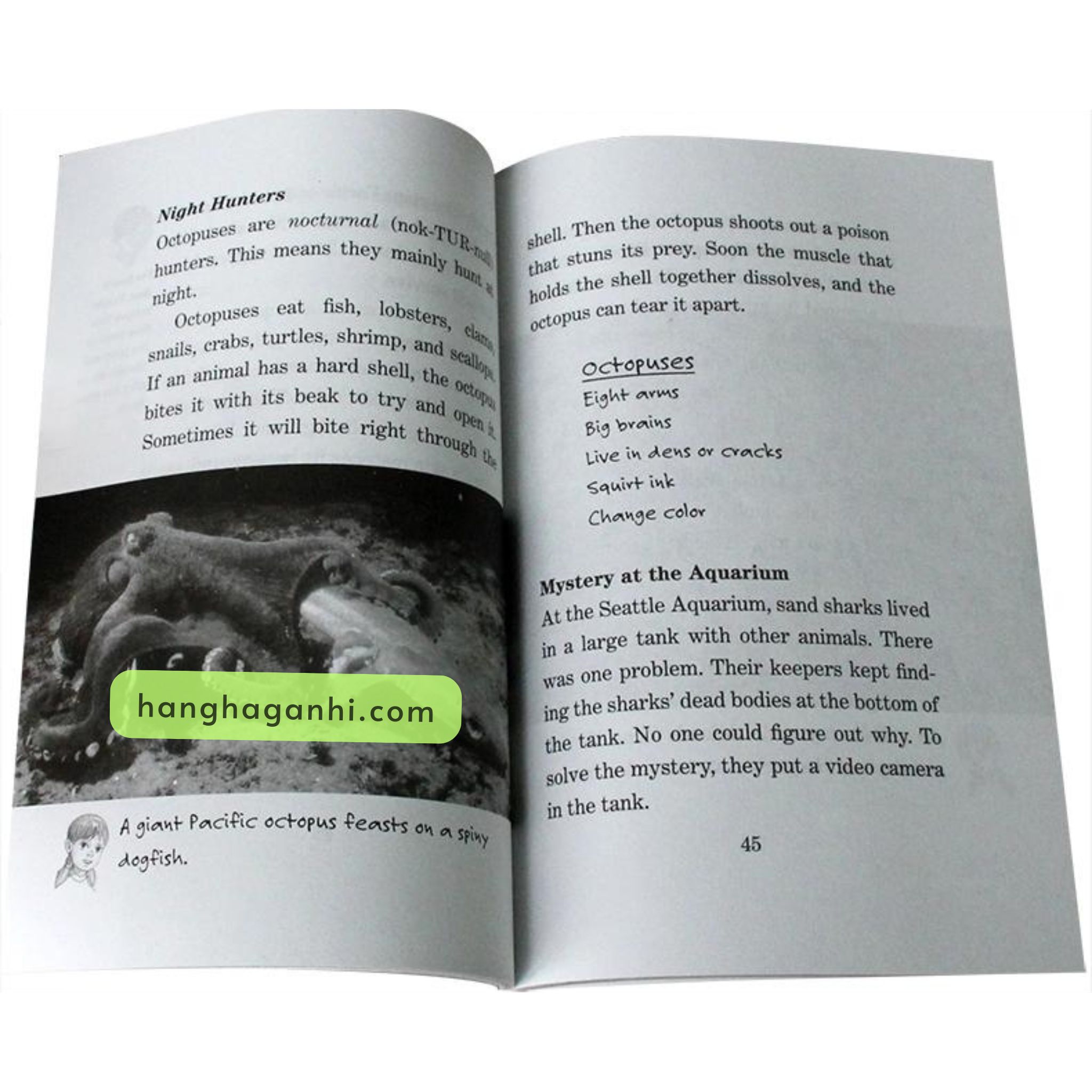 MAGIC TREE HOUSE PHẦN 3 gồm 44 quyển mới nhất (có 40/44 file nghe)_thumbnail_7