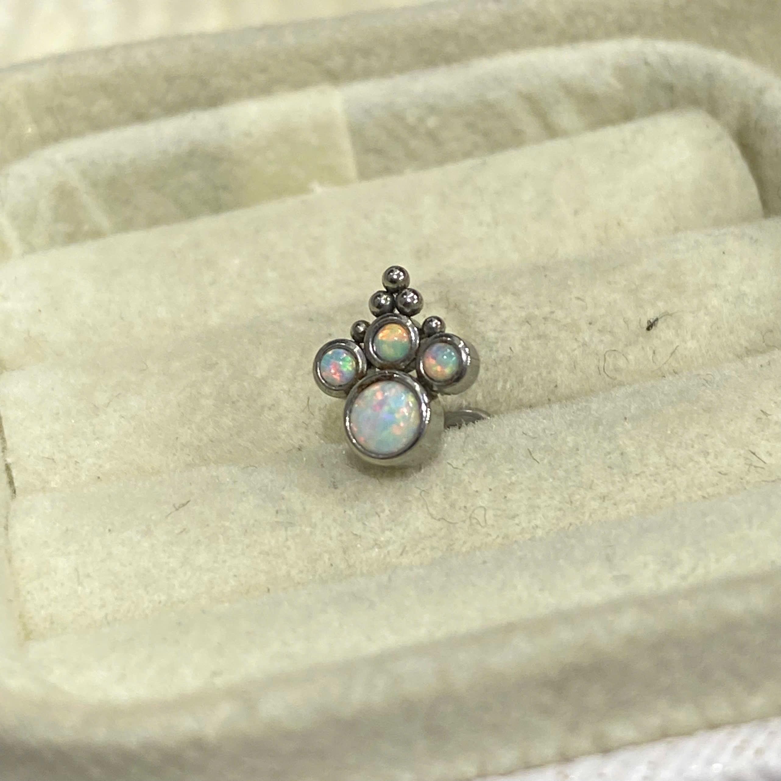 Khuyên kiểu đá opal chân mèo dẹt