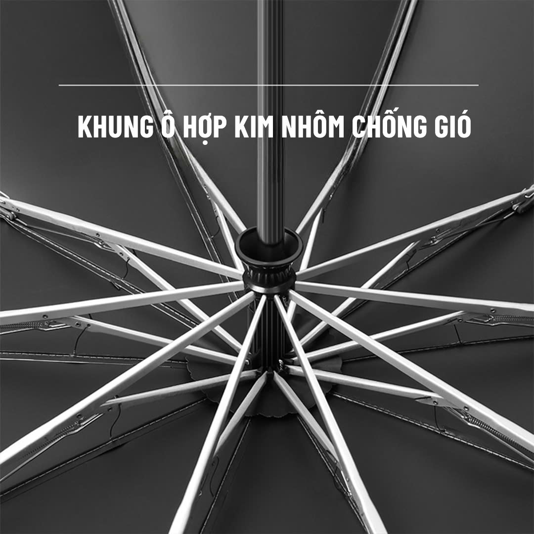 DÙ MINI_thumbnail_10