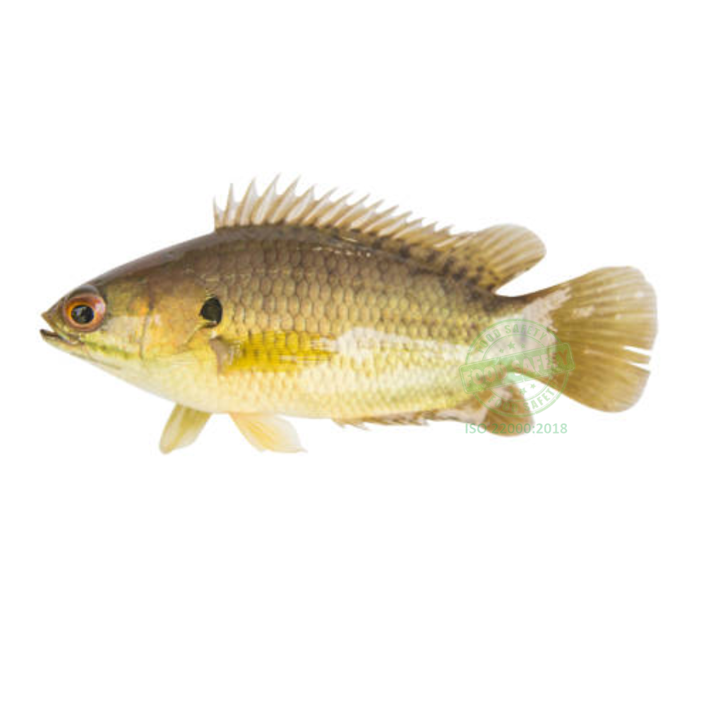 Cá rô đồng | 500G