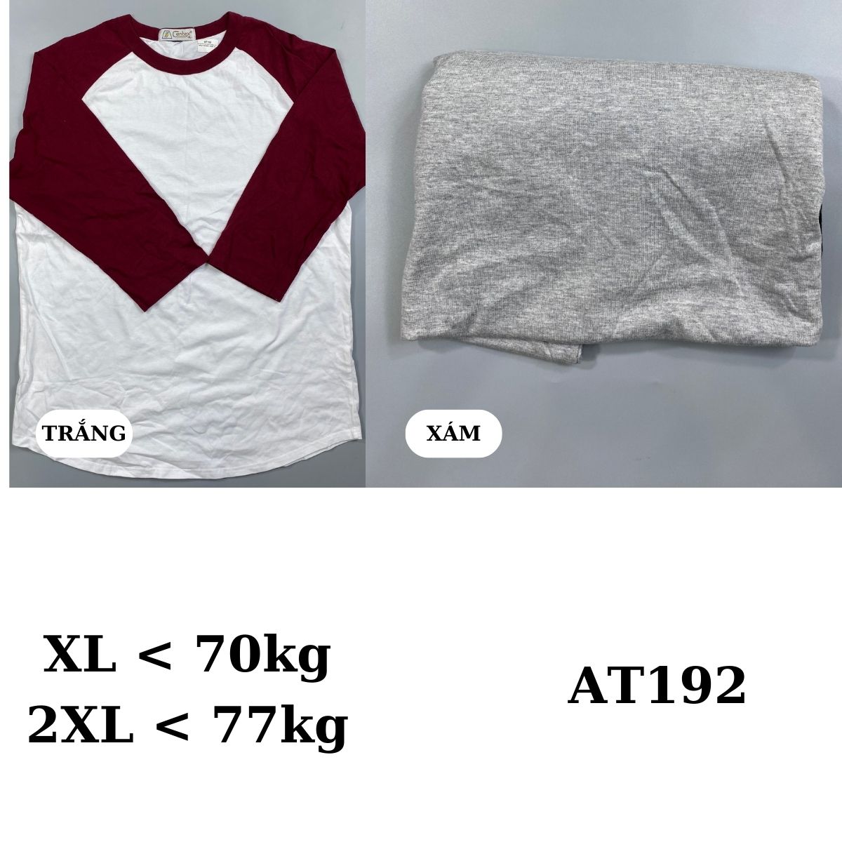 AT192-Áo thun Nam tay lở nhiều màu