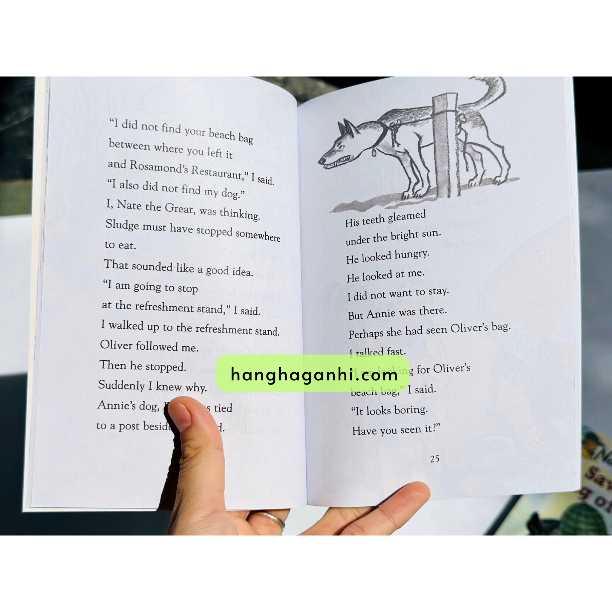 Bộ Nate the Great nhập khẩu 29 cuốn_thumbnail_3