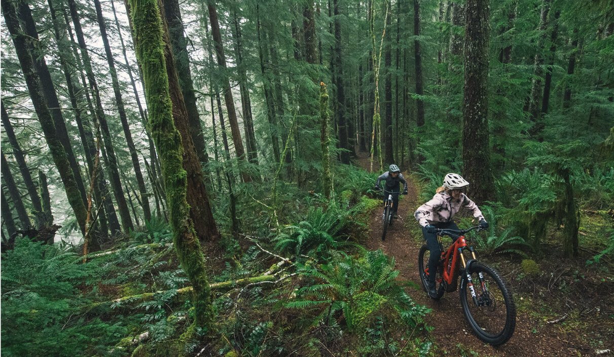 Một lãnh địa thực sự khác lạ