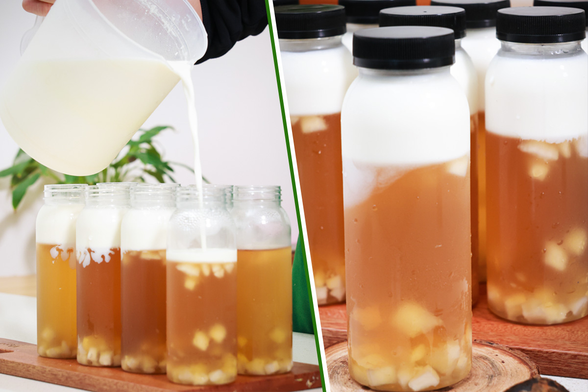 Công thức thạch củ năng sữa dừa – đồ uống giải nhiệt bán cực chạy mùa hè