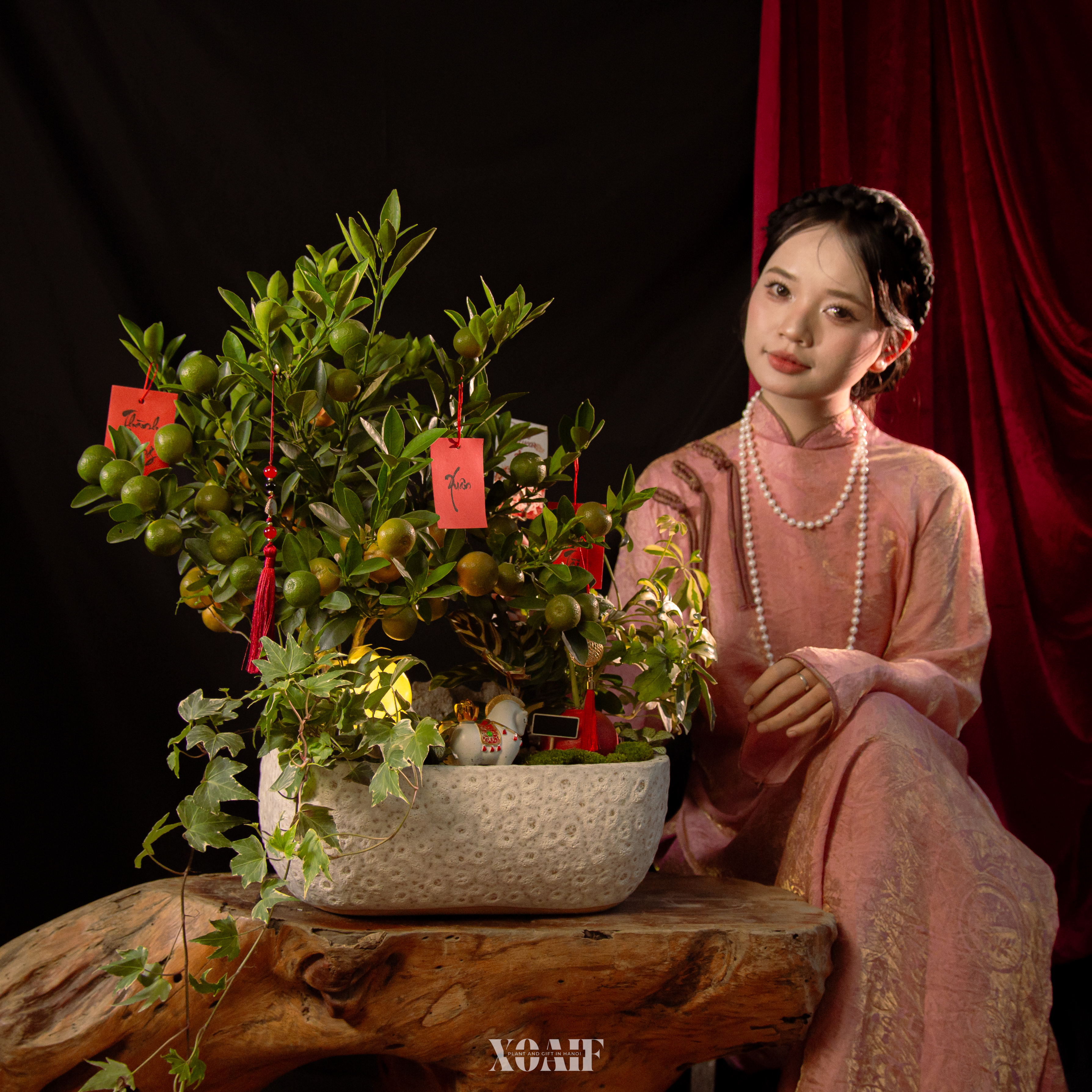 ĐĨNH XUÂN MÃN Ý_thumbnail_4