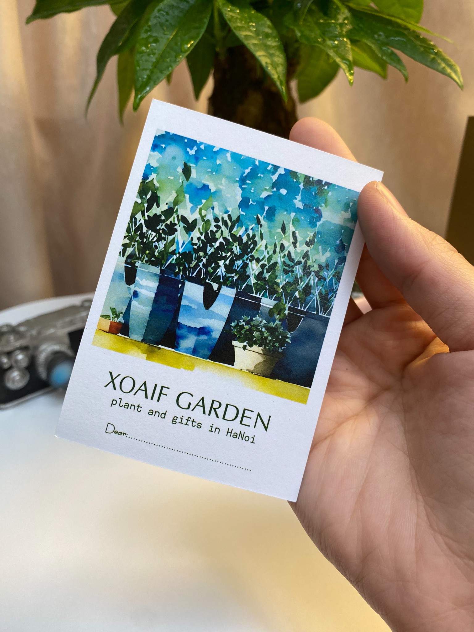 PORTCARD HƯỚNG DẪN CHĂM CÂY