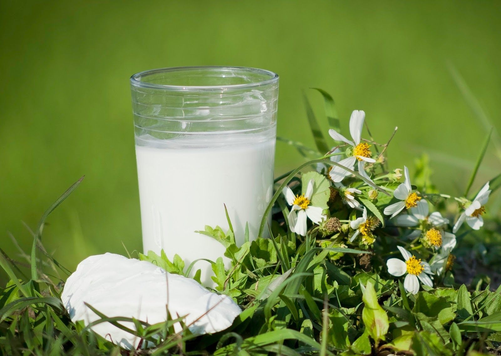 LỢI ÍCH VÀNG CỦA SẮN DÂY ĐỐI VỚI LÀN DA