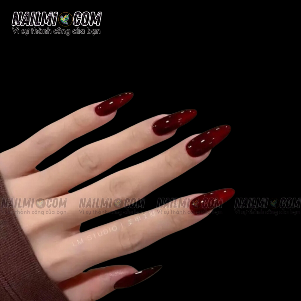 Sơn Gel lẻ - Thạch Đỏ Rượu Vang - AN - 12ml_thumbnail_3