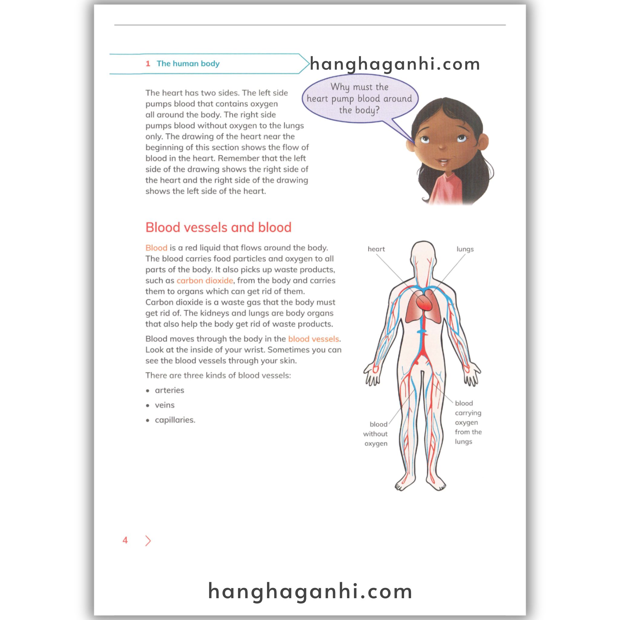 Cambridge Level 6 Primary Science Learner’s Book 2nd edition 2021_thumbnail_8