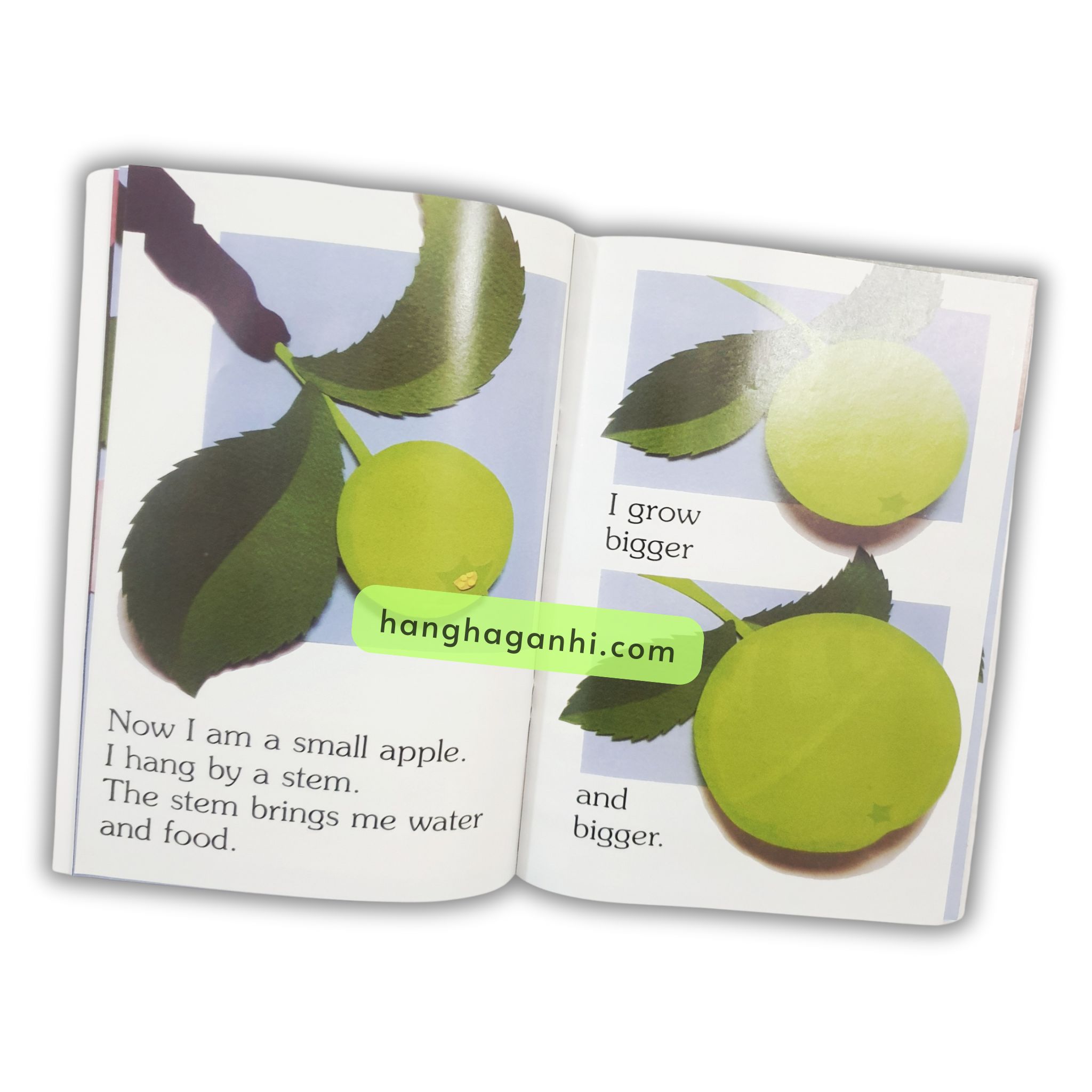 Bộ 10 cuốn I am sách nhập khẩu_thumbnail_5