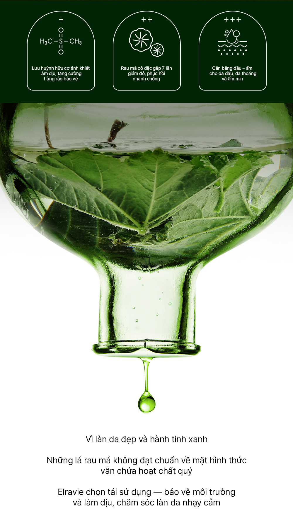 Mặt nạ phục hồi, giảm kích ứng, làm sáng elravie HyCicaMue Recovery Mask 25ml/miếng_thumbnail_3