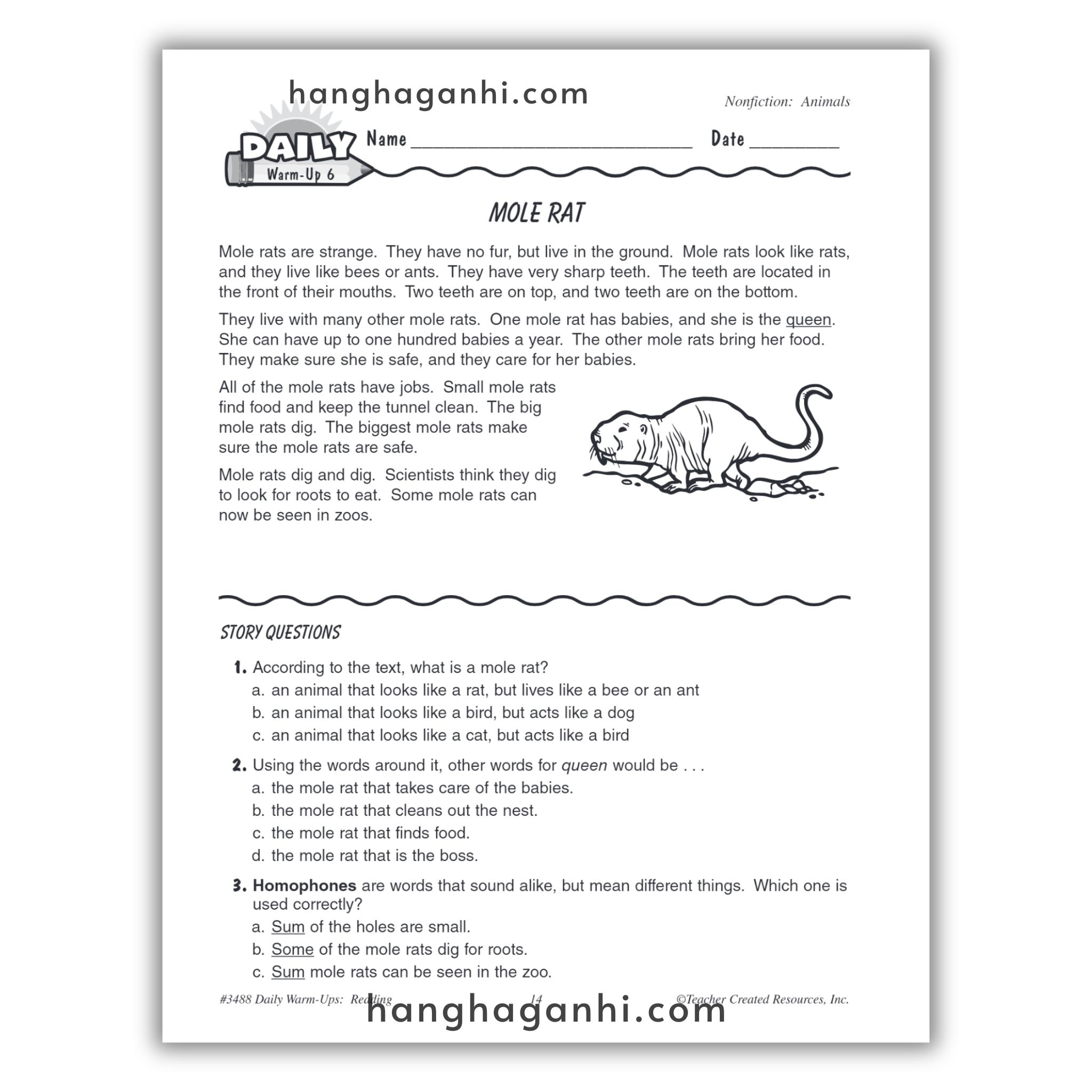 Trọn Bộ sách DAILY WARM-UP READING – 8 Cuốn_thumbnail_21