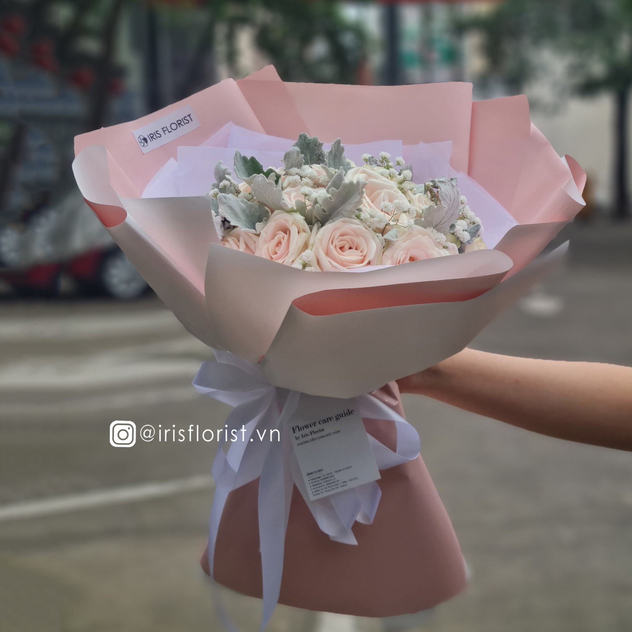 Hồng kem dâu mix Baby - Size M_thumbnail_0