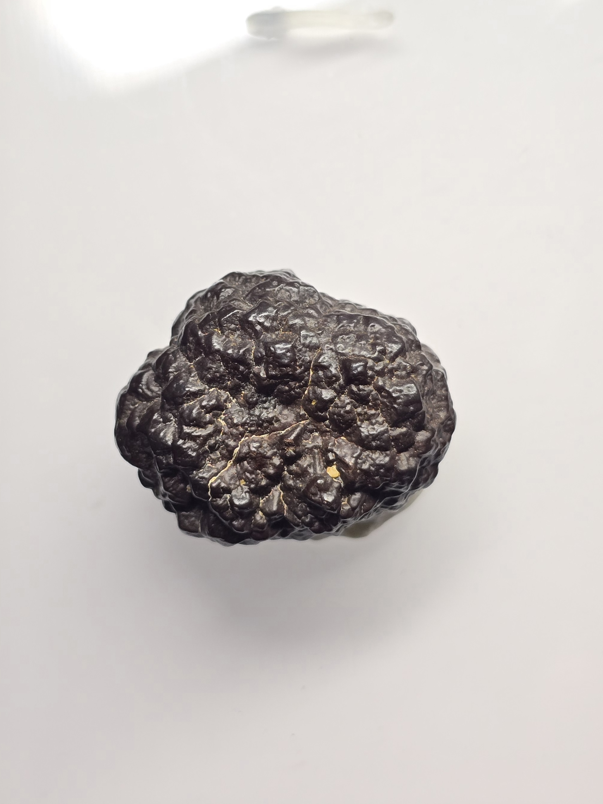 Đá Tiên Tri Prophecy Stone - xuất xứ khu vực sa mạc Sahara, Ai Cập_thumbnail_2