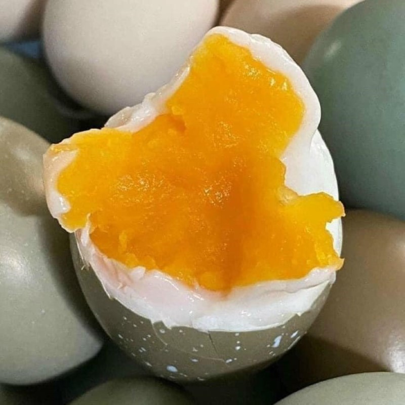 Trứng Chim Trĩ_thumbnail_1