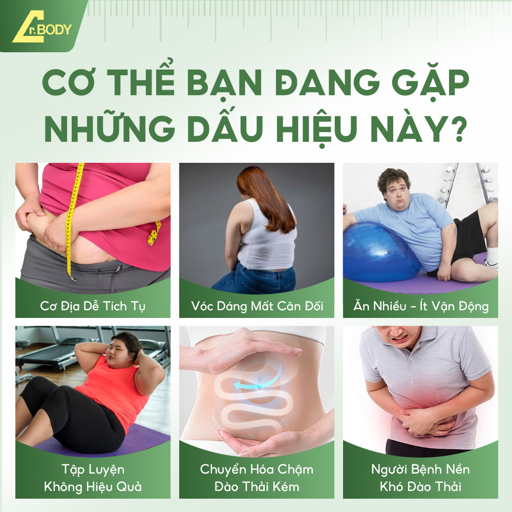 MIẾNG DÁN DR.BODY NHẬT BẢN HỖ TRỢ GIẢM MỠ VÙNG BỤNG, ĐÙI, BẮP TAY, THÀNH PHẦN THẢO MỘC TỰ NHIÊN