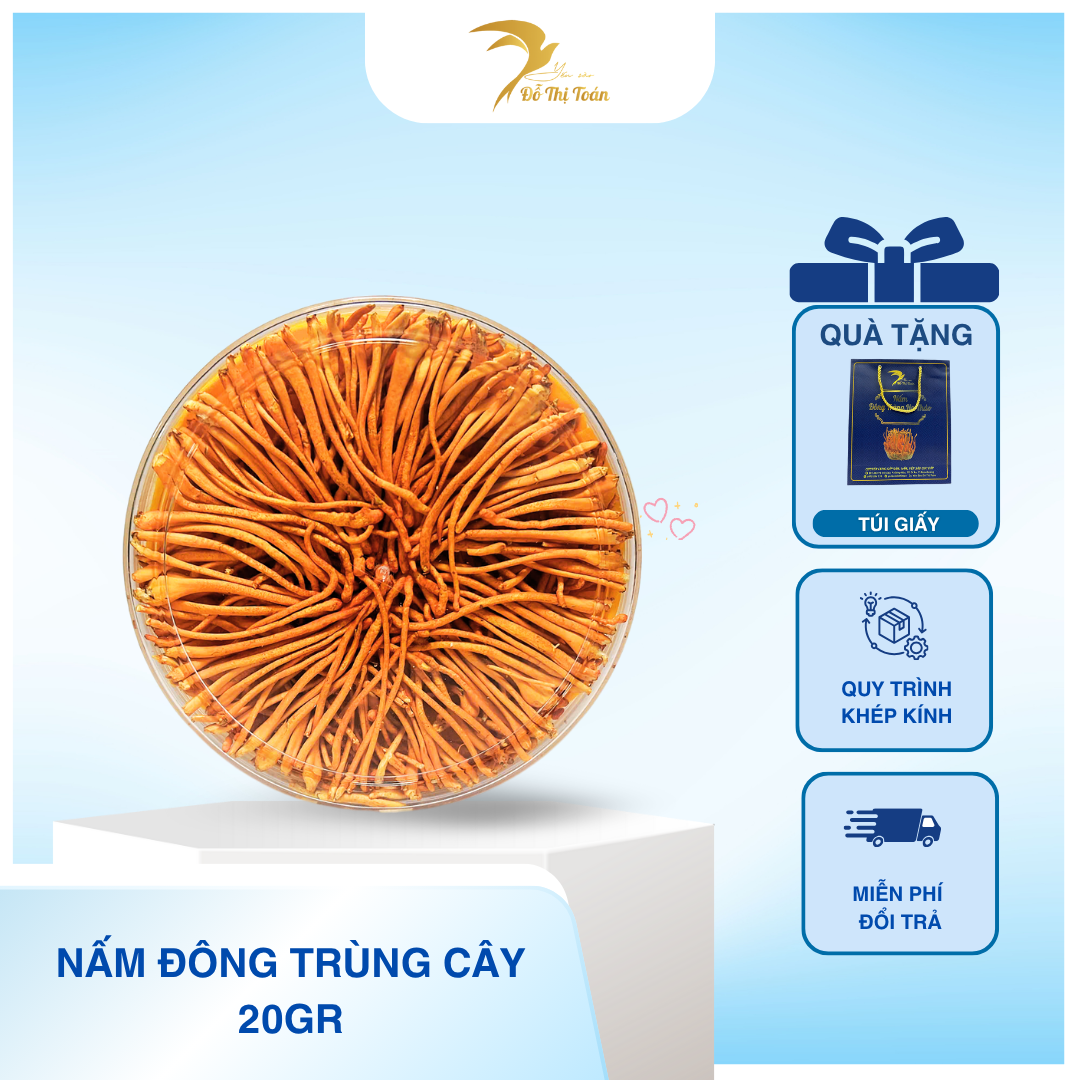 [D48] NẤM ĐÔNG TRÙNG HẠ THẢO HỘP 20GR- ( lớn nhỏ, có gãy nhẹ, ko nát)