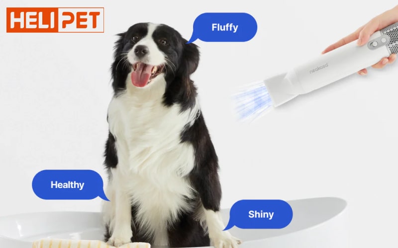 Neakasa F1 pet hair dryer