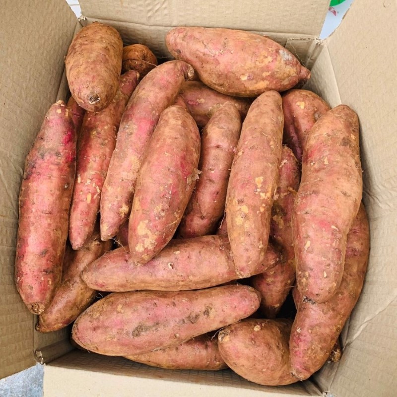 Khoai Lang Mật Tà Nung_thumbnail_3