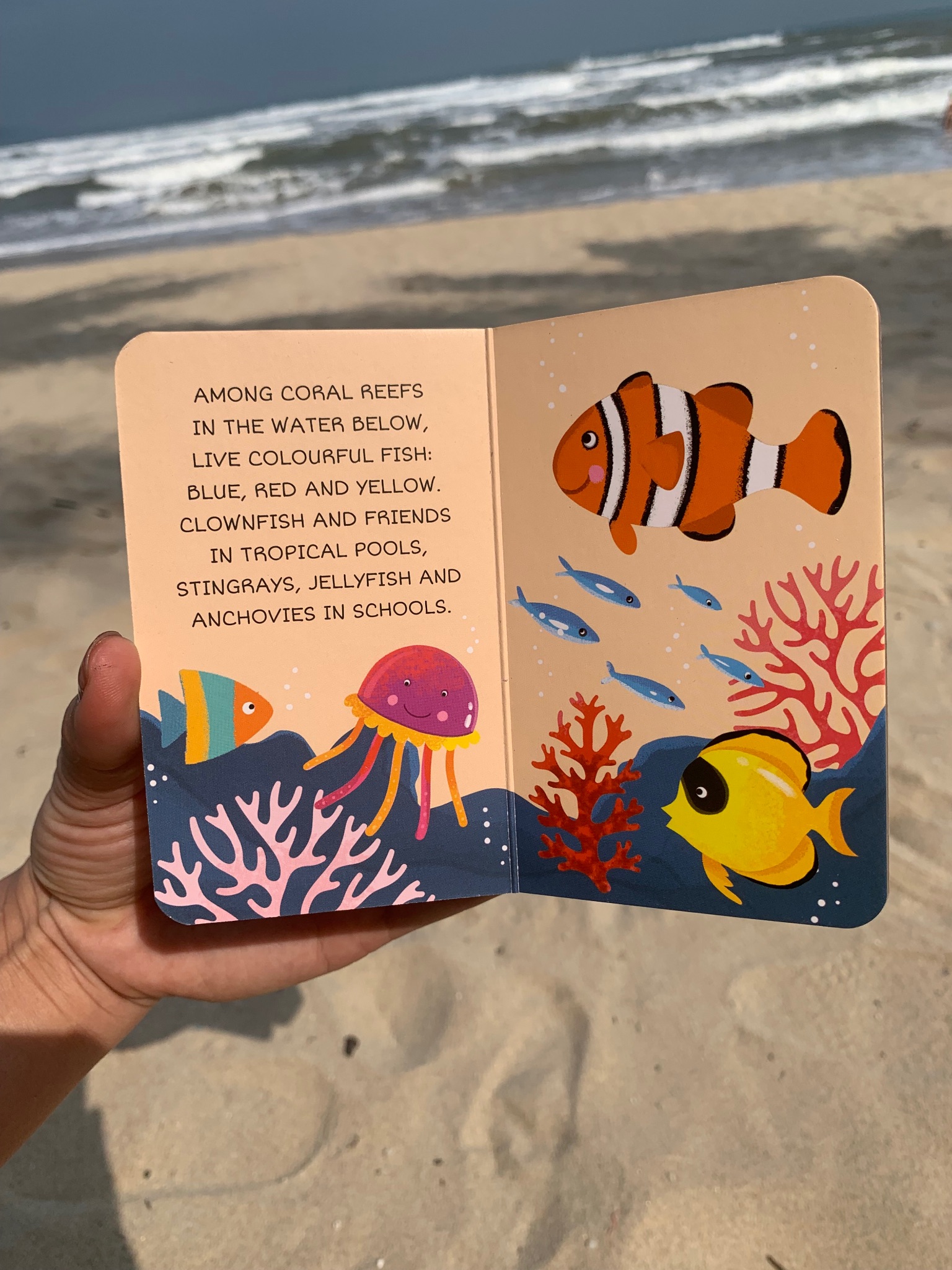 MY FIRST LIBRARY - THE SEA (xả vỡ hộp)_thumbnail_12