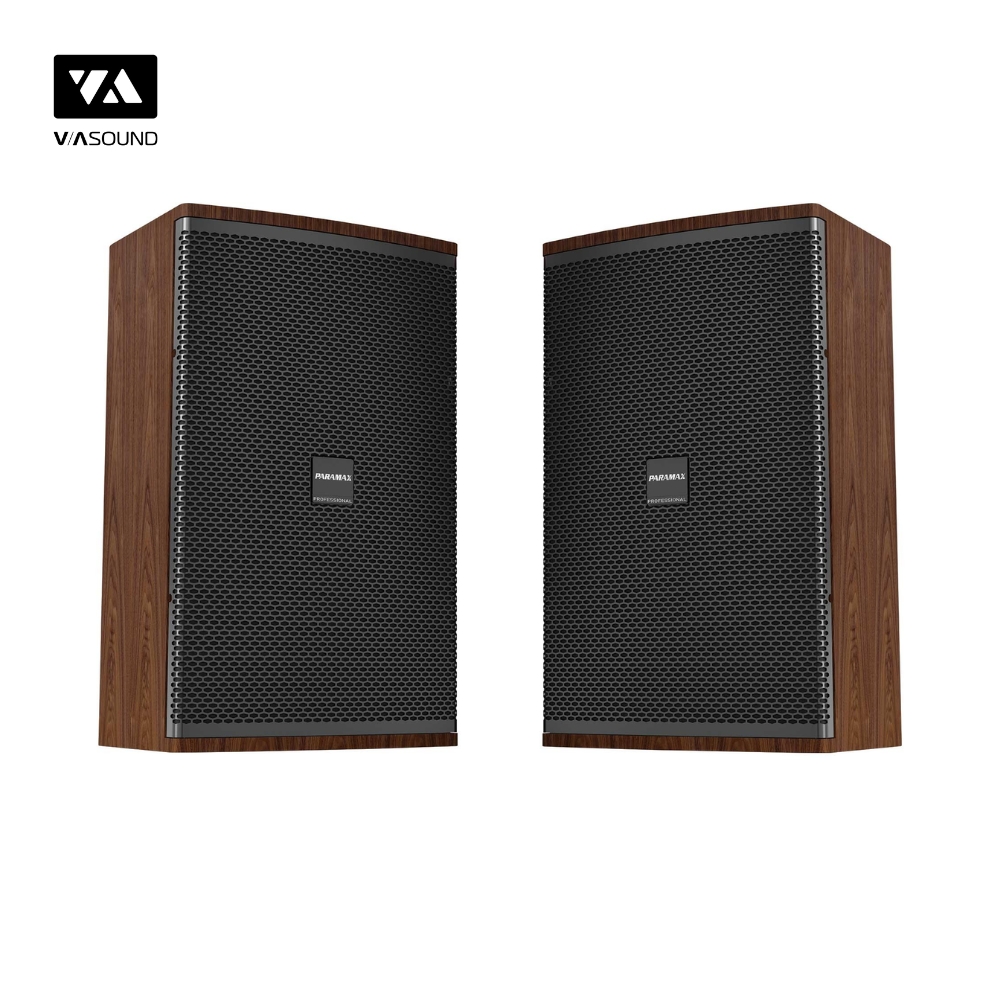 Loa Karaoke PARAMAX CLASSE 30