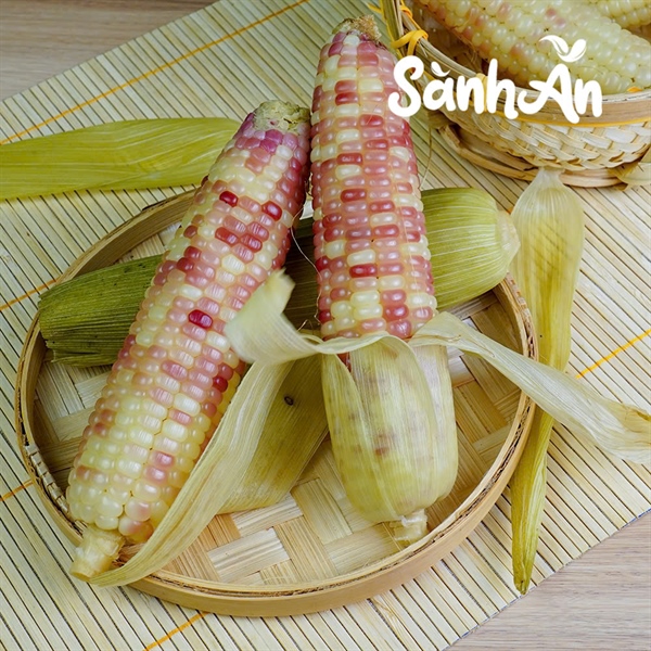 Ngô nếp mèo lạnh