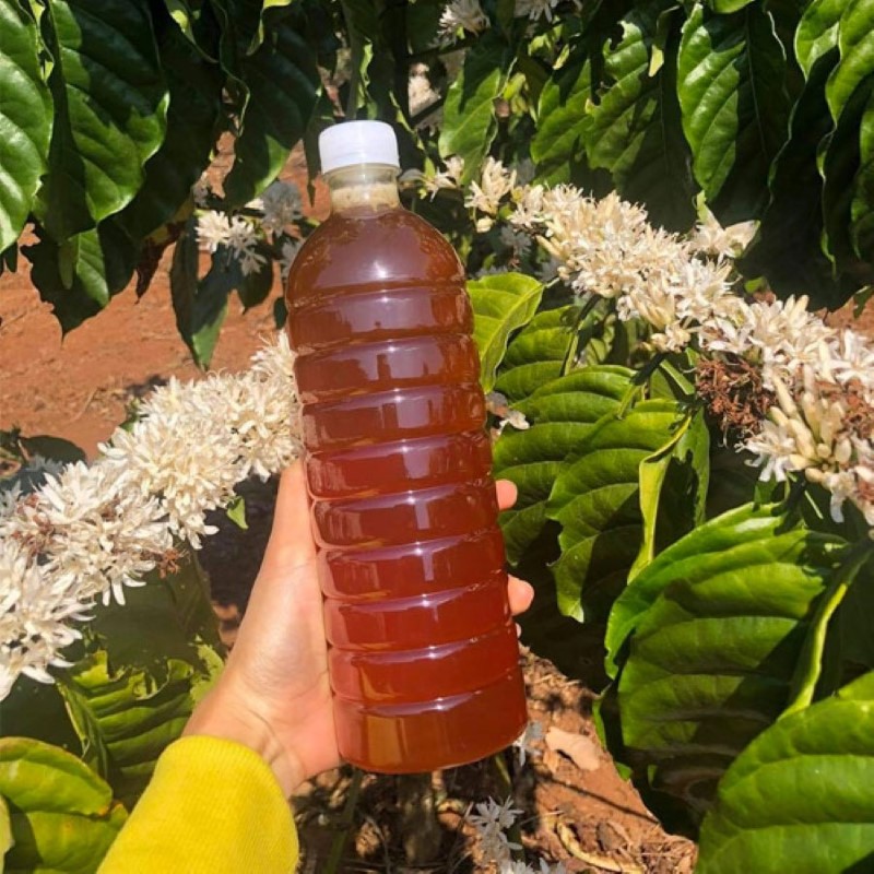 Mật Ong Hoa Cà Phê_thumbnail_2