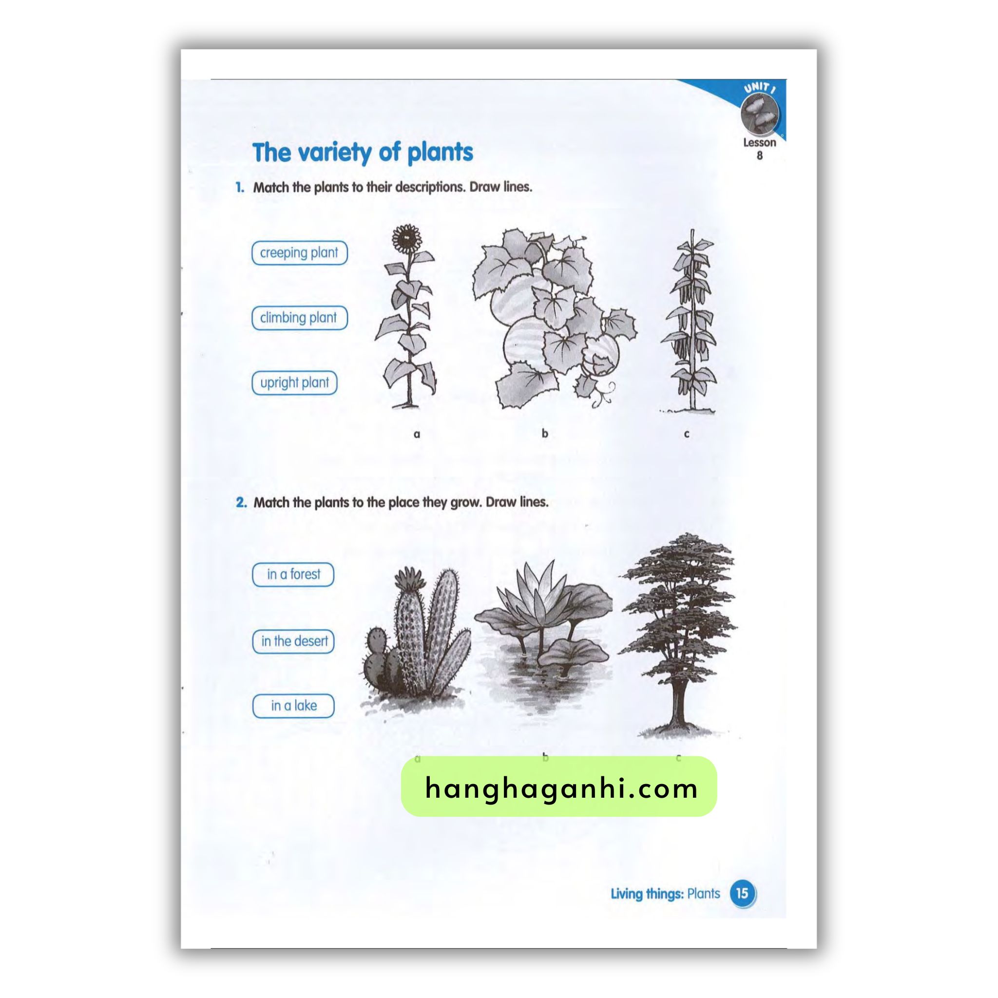 Macmillan Science 4 Workbook_thumbnail_9