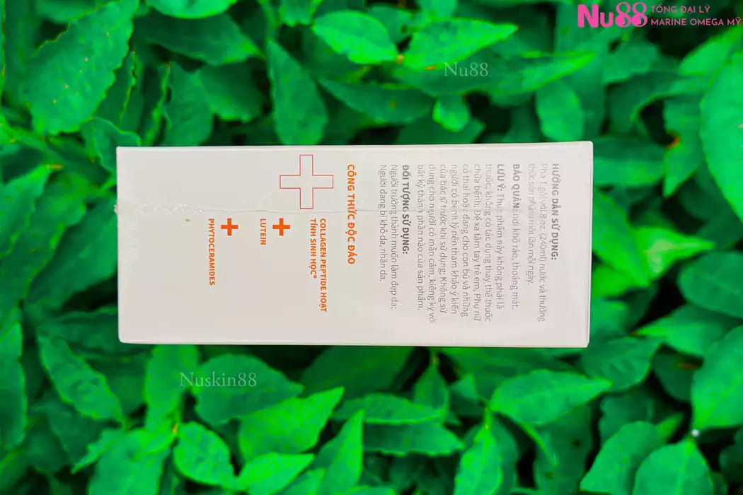 Thực phẩm bảo vệ sức khỏe Inner Focus Collagen Plus_thumbnail_5
