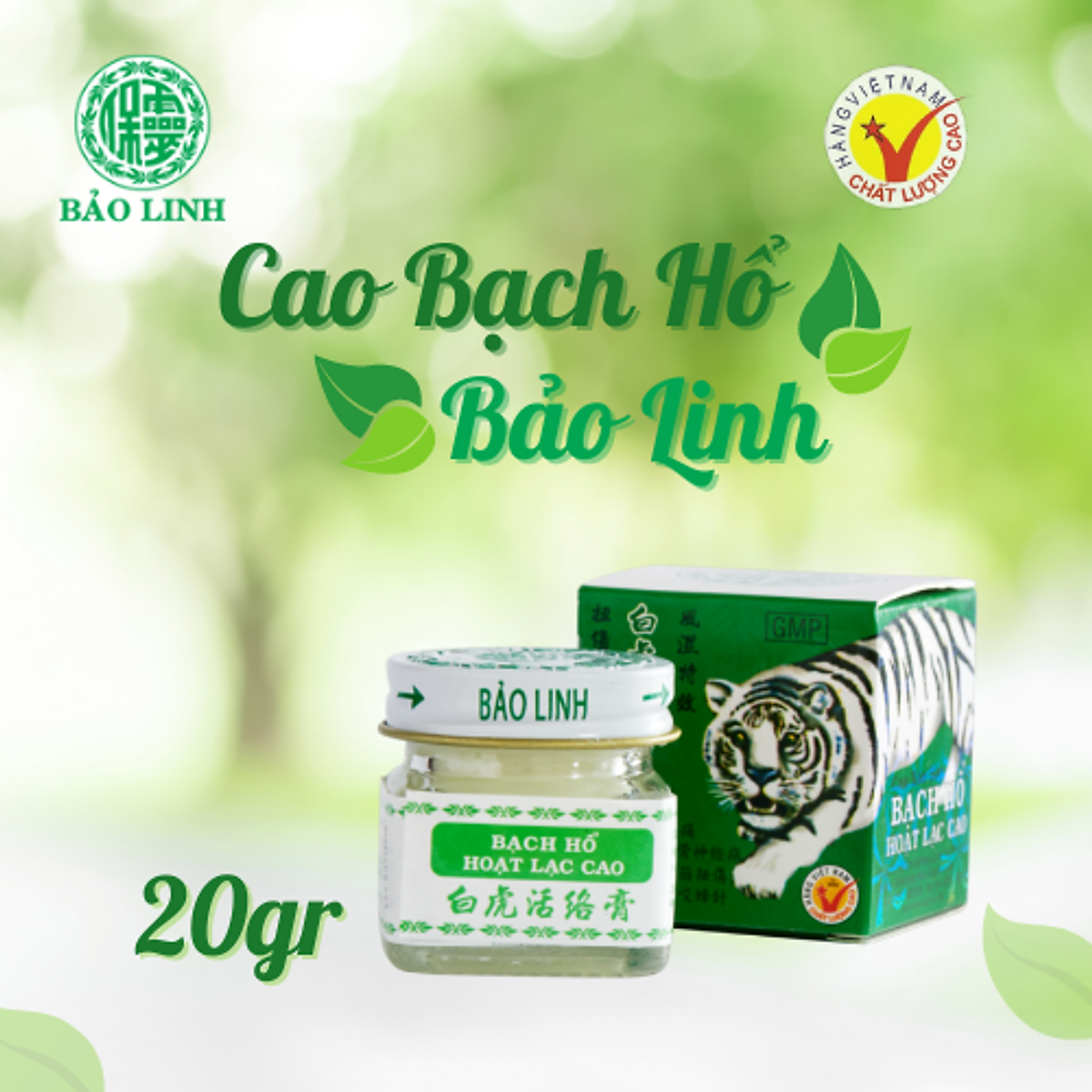 CAO BẠCH HỔ_thumbnail_2