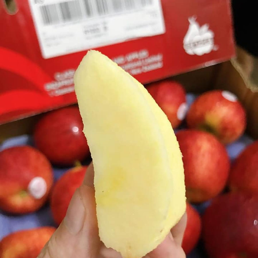 Táo Envy New Zealand_thumbnail_3