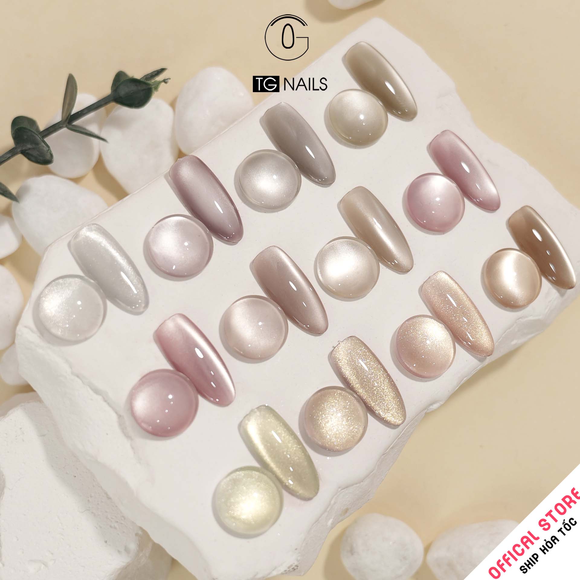 Com Bo 12 màu sơn gel TG nail mắt mèo thủy tinh
