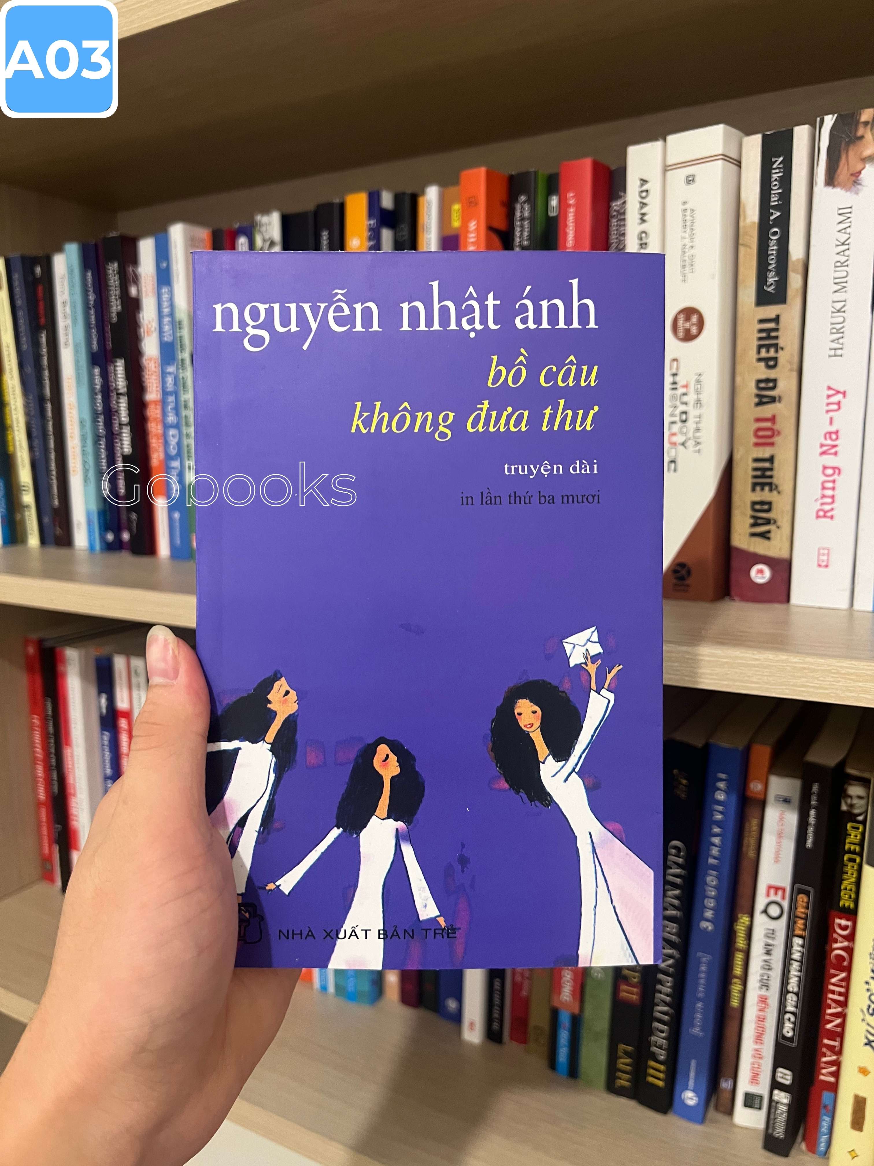 Bồ Câu Không Đưa Thư_thumbnail_1