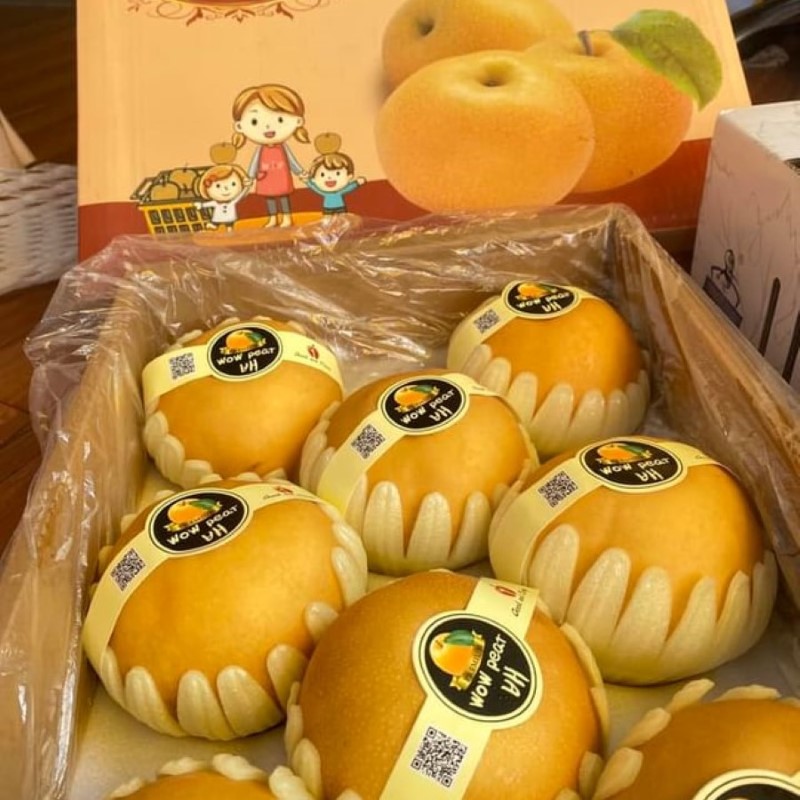 Lê Nâu (N1F)_thumbnail_1