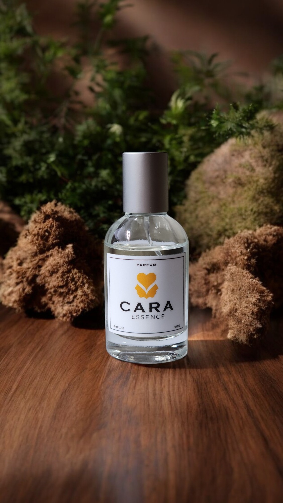 Photoroom-20250206_003206-Photoroom (2)