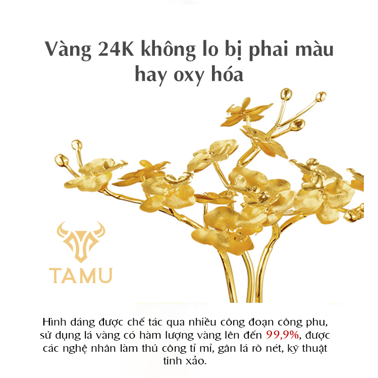 Chậu Hoa Lan Hồ Điệp Vàng 24K_thumbnail_1