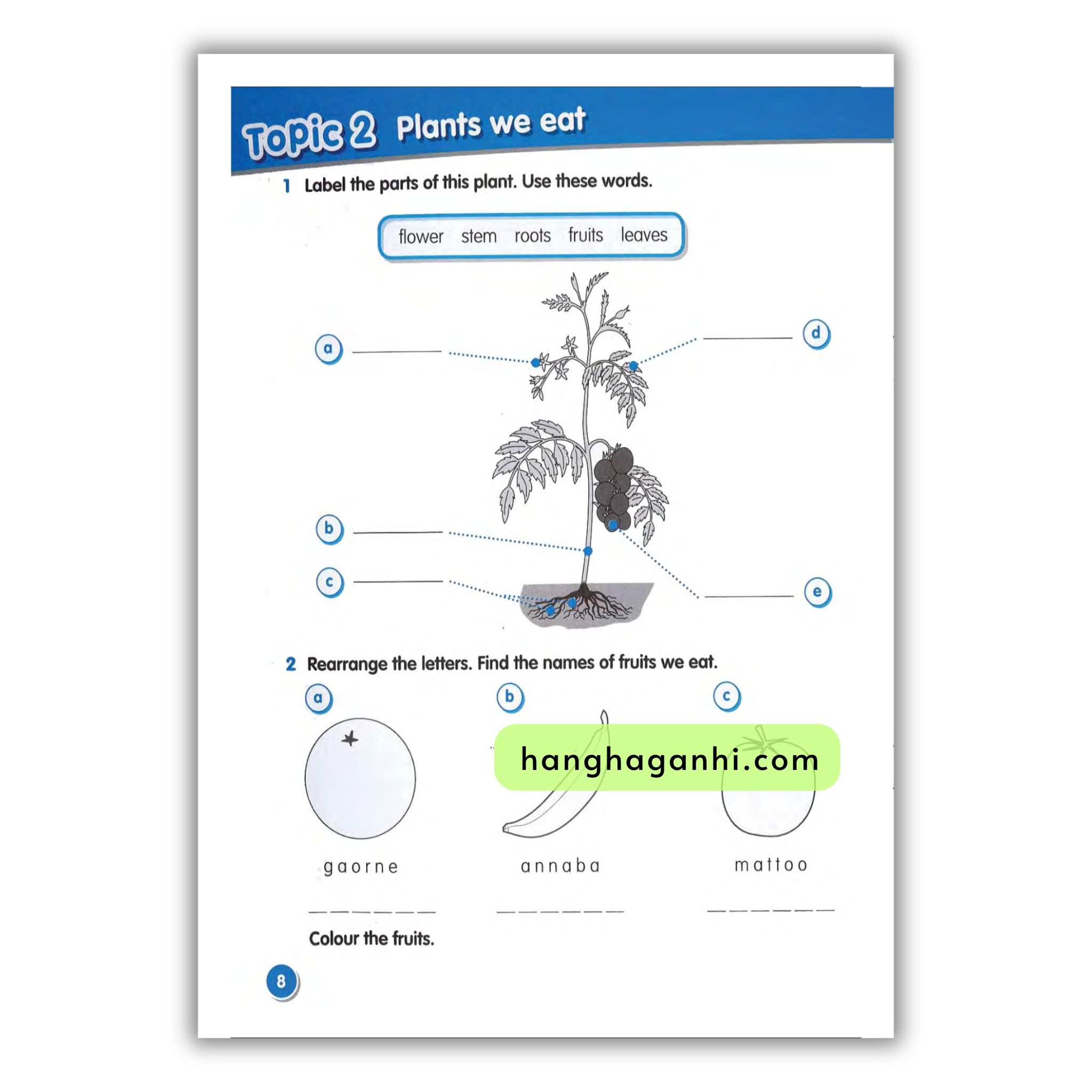 Macmillan Science 2 Workbook_thumbnail_5