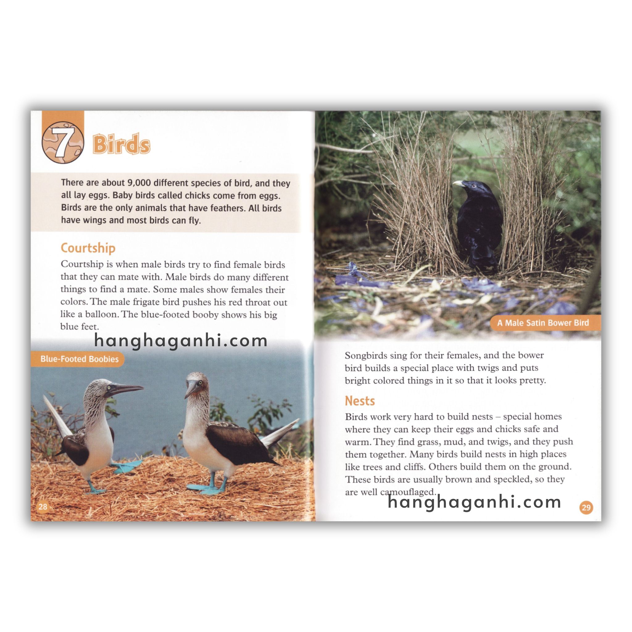 Bộ Oxford Read and Discover/Imagine Level 1,2,3,4,5,6- Sách Nhập nguyên seal kèm file nghe_thumbnail_29