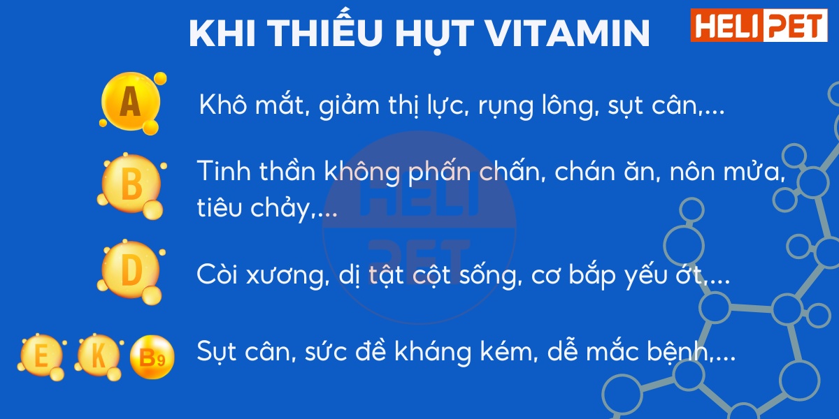 DR.VET multivitamin for cats contains IGY antibodies.