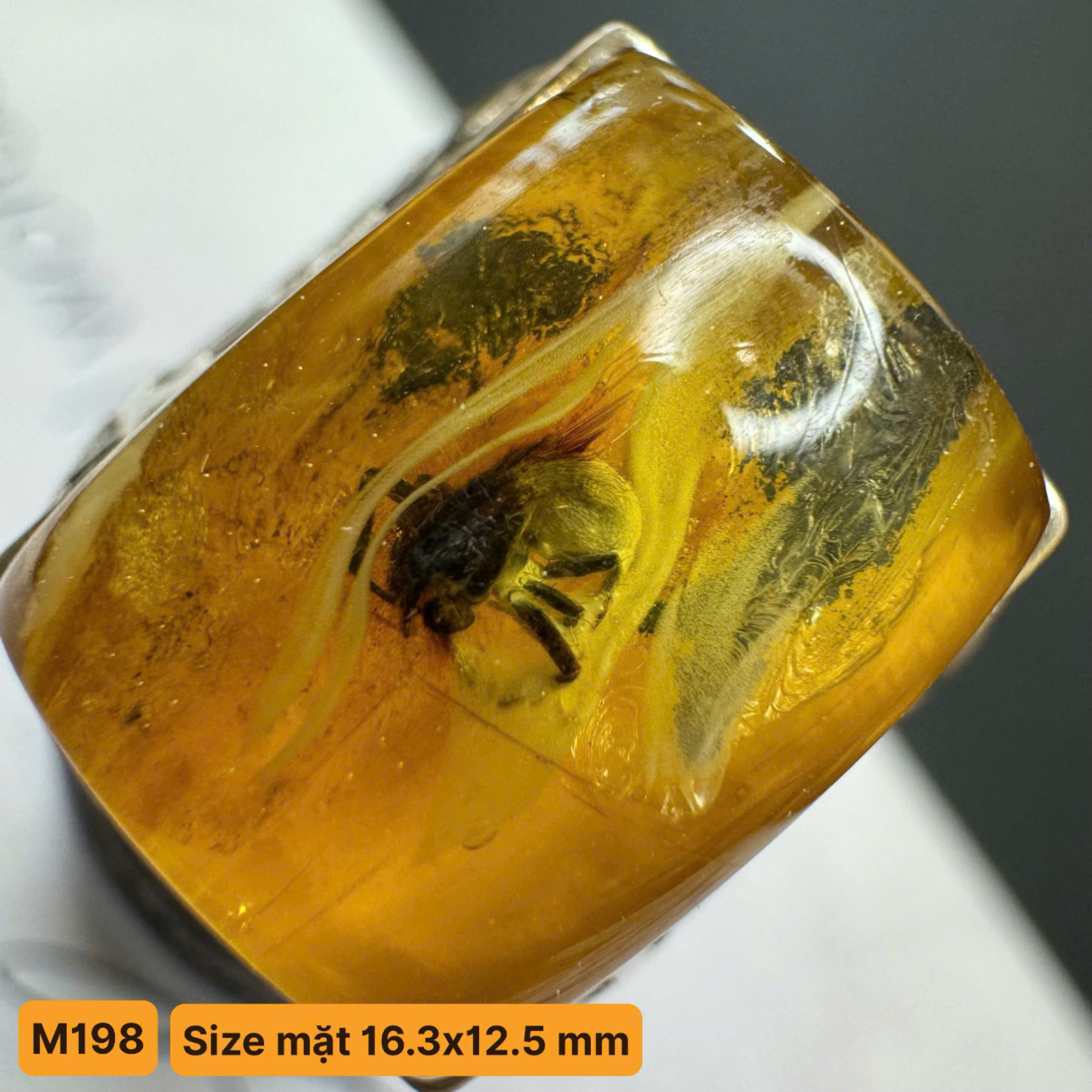 Nhẫn Côn Trùng Nhện Hiếm - M198