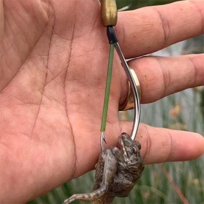 Các loại mồi nhái câu lóc được phổ biến hiện nay và cách sử dụng hiệu quả