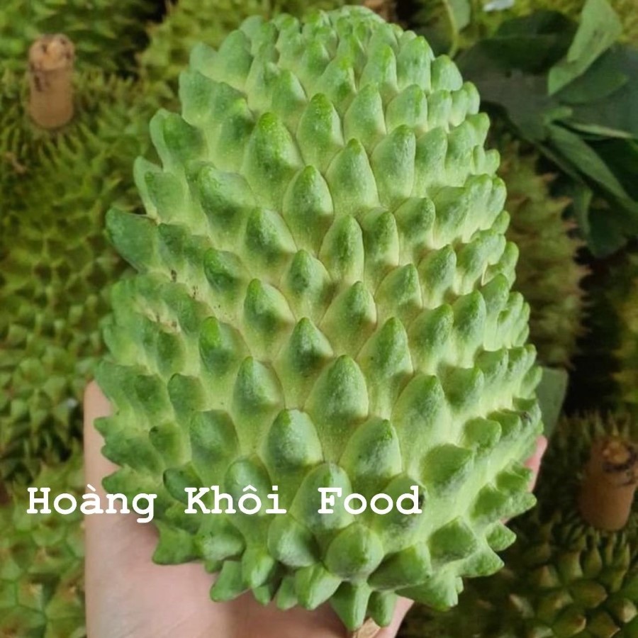 Na Sầu Riêng_thumbnail_0