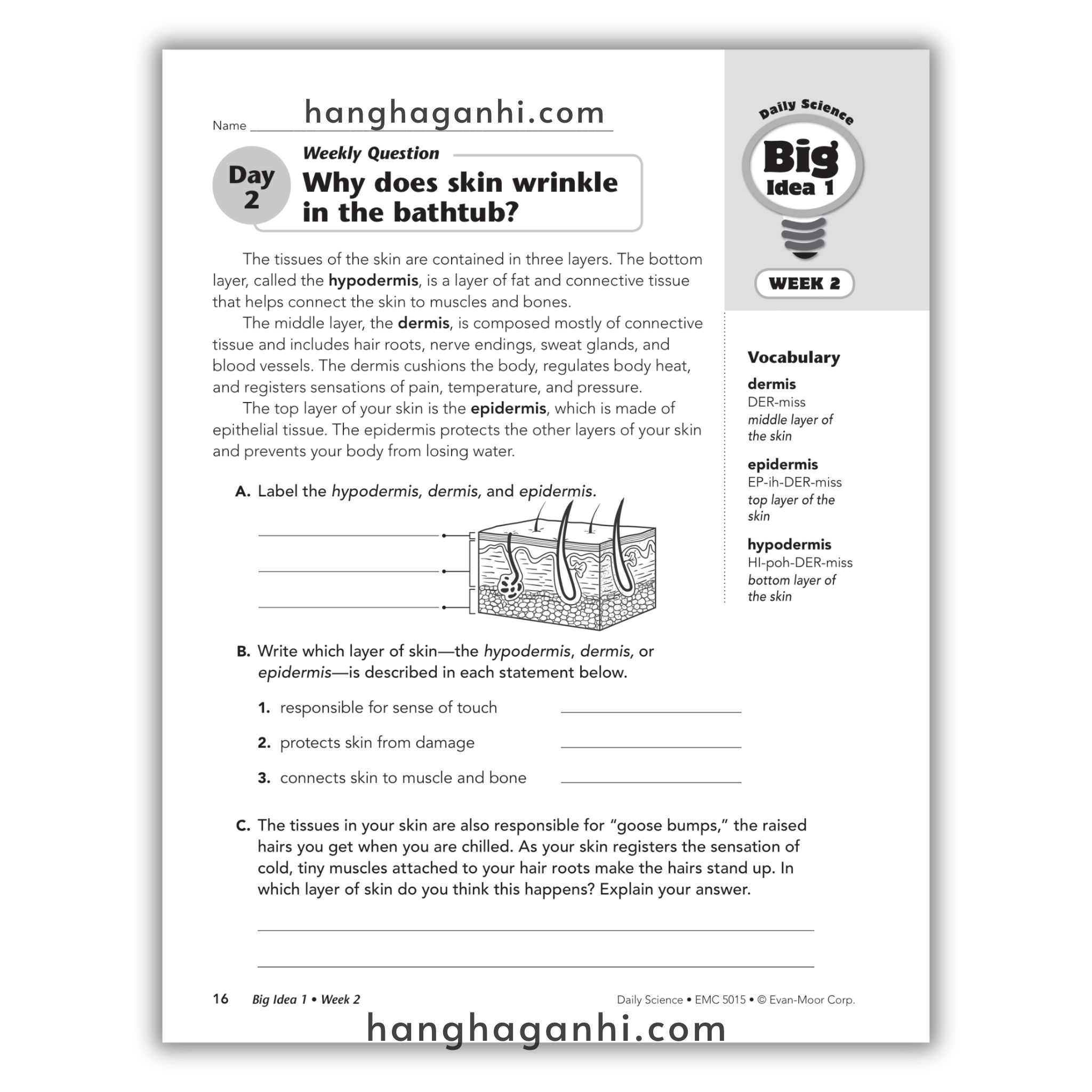 Daily Science Grade 5_thumbnail_15